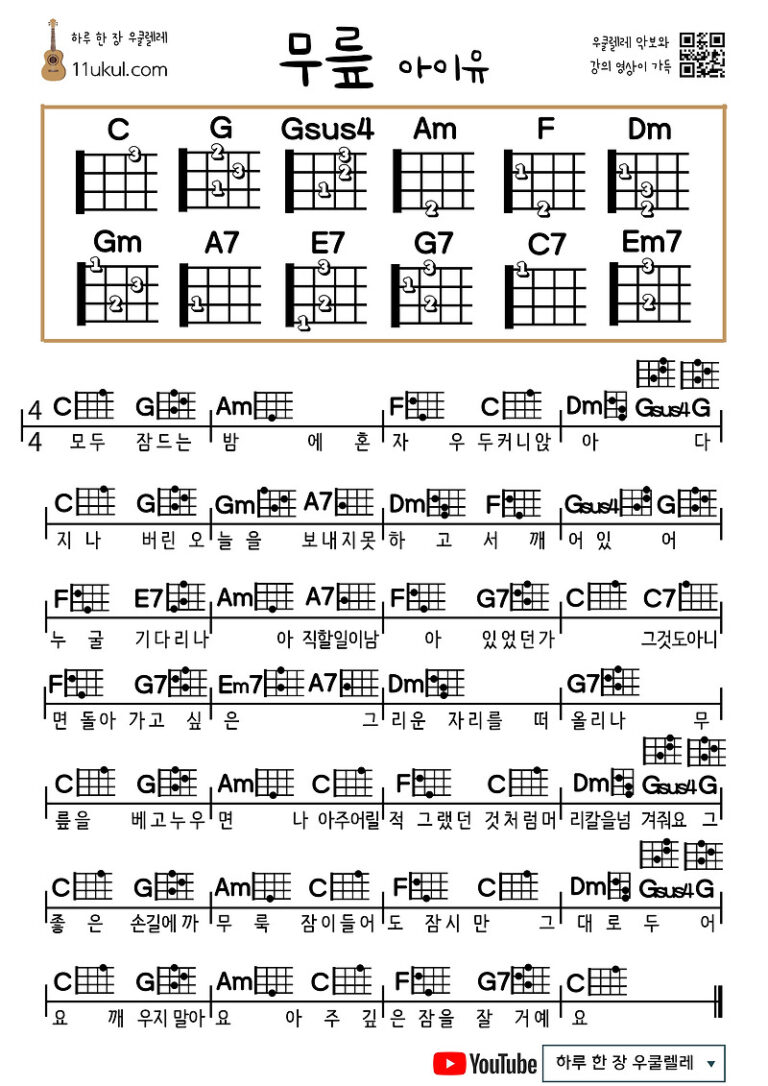 무릎(아이유)