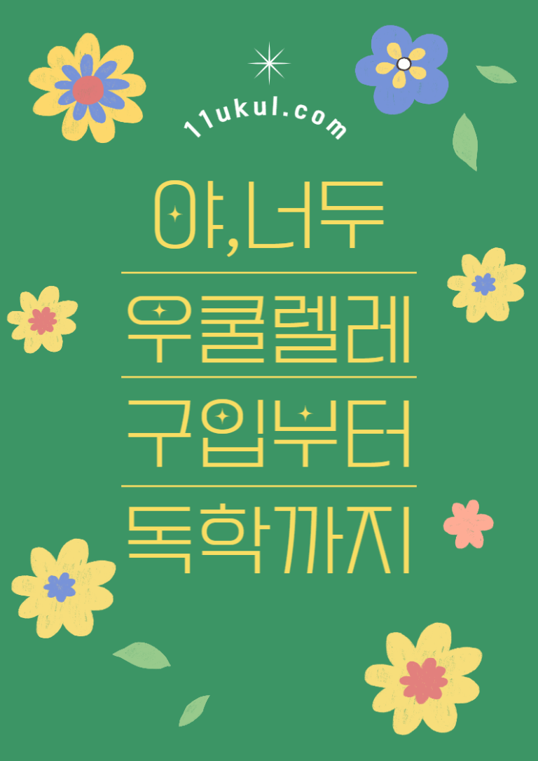 우쿨렐레 구입부터 독학까지 이 글 하나면 끝