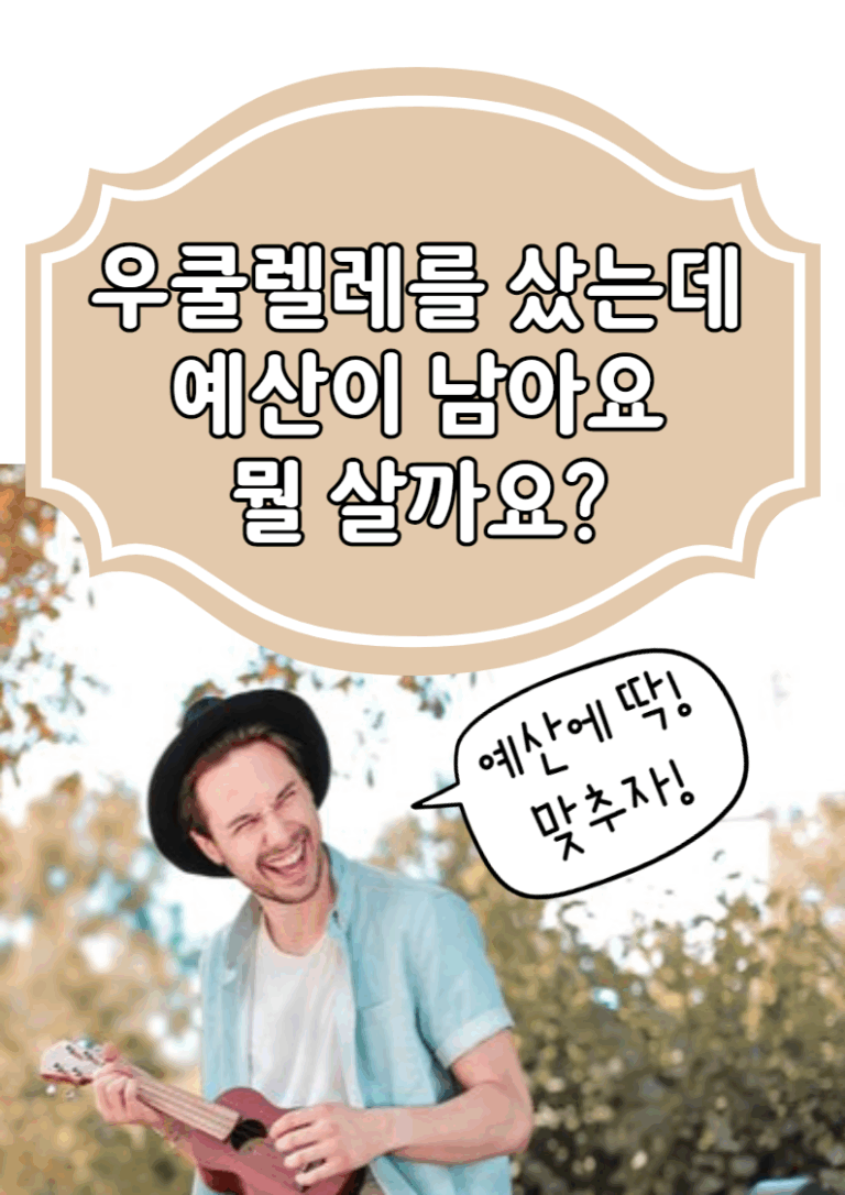 우쿨렐레를 샀는데 예산이 남아요. 뭘 더 사면 좋아요?