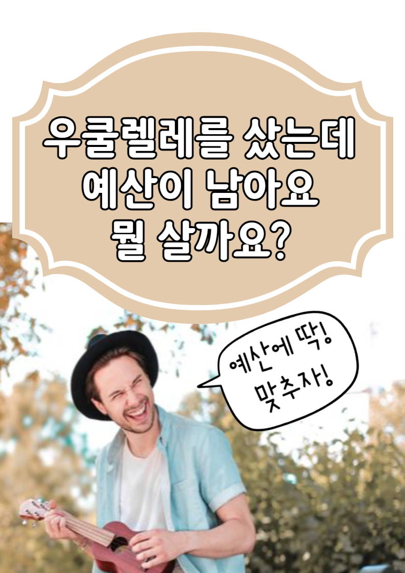 우쿨렐레를 샀는데 예산이 남아요. 뭘 더 사면 좋아요?