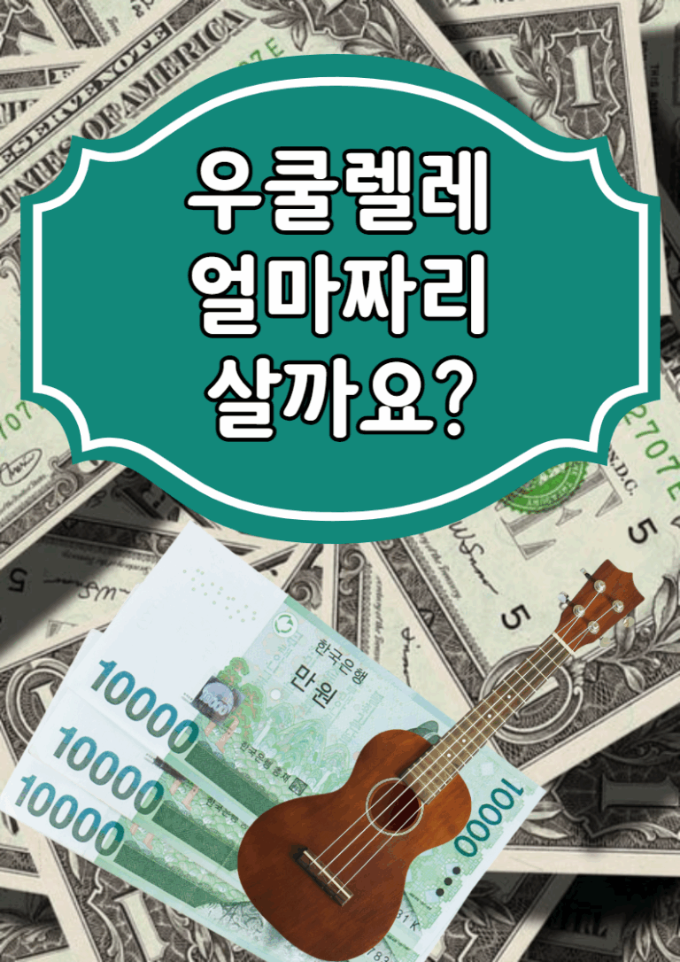학교에서 사용하는 우쿨렐레, 얼마짜리가 적당할까요?