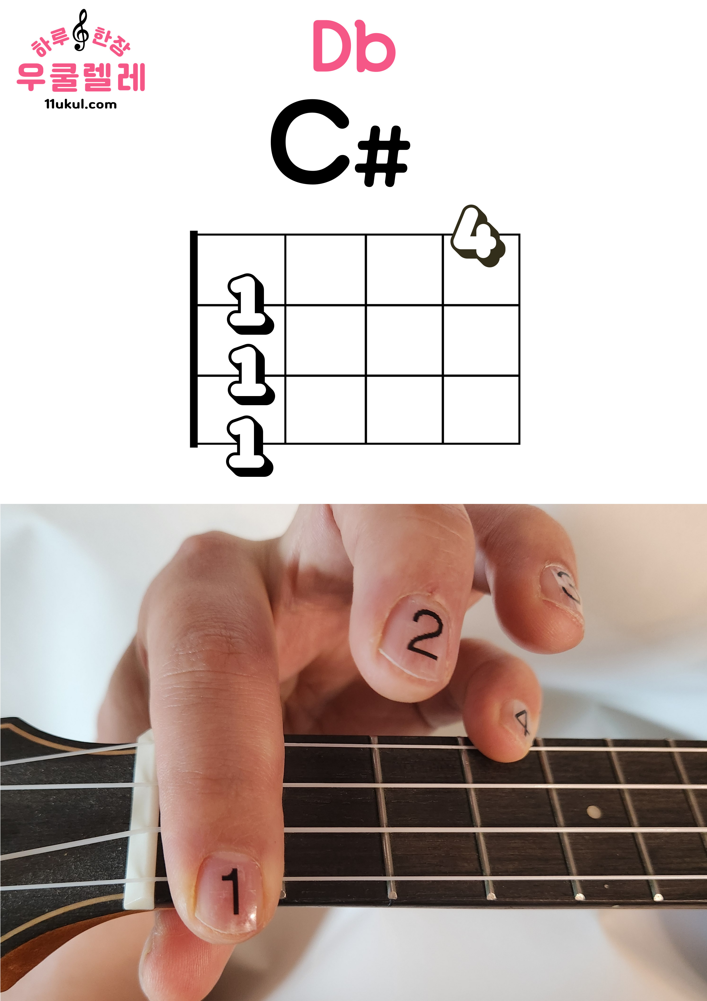 우쿨렐레 C# Db 코드 Ukulele C# Db chord